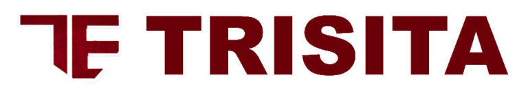 BIM Execution Plans Types And Benefits – Trisita Engineering LLP